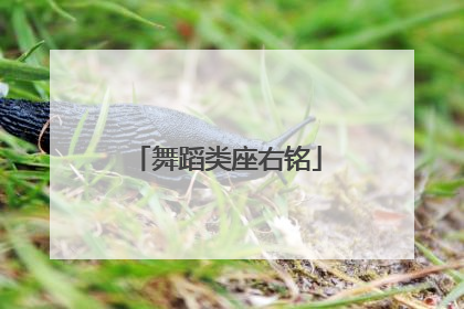 舞蹈类座右铭
