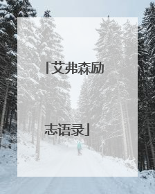 艾弗森励志语录