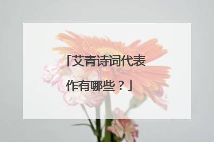 艾青诗词代表作有哪些？