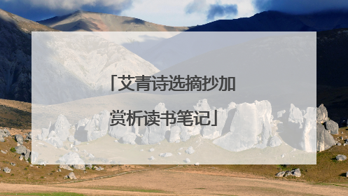 艾青诗选摘抄加赏析读书笔记