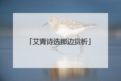 艾青诗选那边赏析