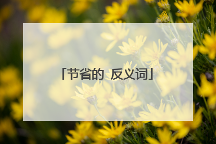 节省的 反义词