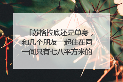 苏格拉底还是单身，和几个朋友一起住在同一间只有七八平方米的房子里``````速度！等待回答！！