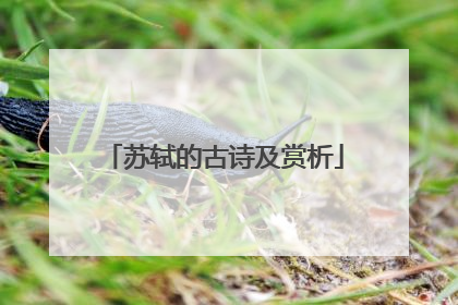 苏轼的古诗及赏析