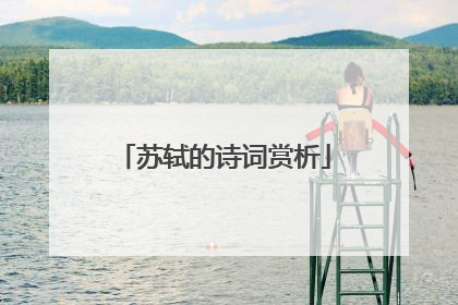 苏轼的诗词赏析