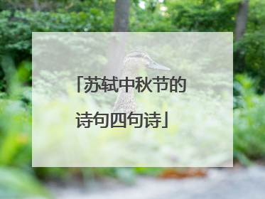 苏轼中秋节的诗句四句诗