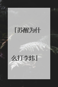 苏醒为什么打李炜