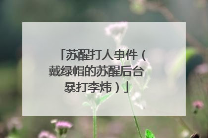 苏醒打人事件（戴绿帽的苏醒后台暴打李炜）