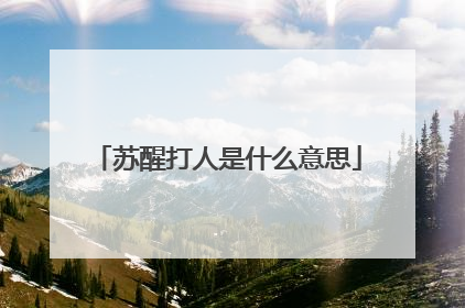 苏醒打人是什么意思
