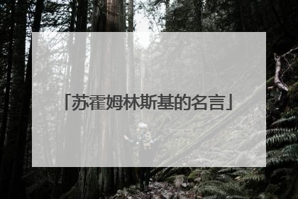 苏霍姆林斯基的名言