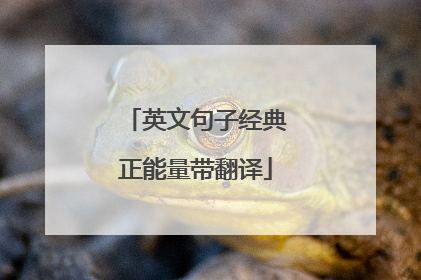 英文句子经典正能量带翻译
