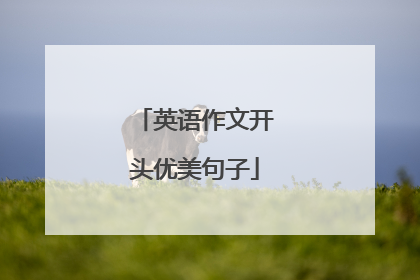 英语作文开头优美句子