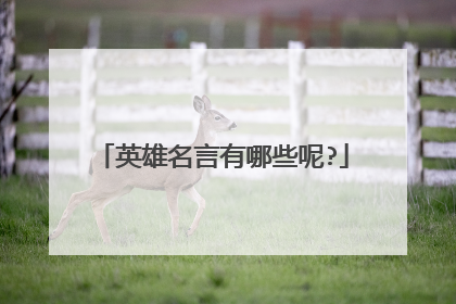 英雄名言有哪些呢?