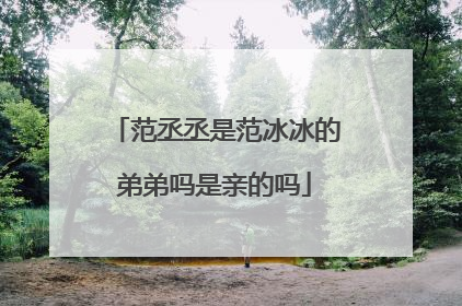 范丞丞是范冰冰的弟弟吗是亲的吗