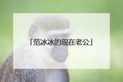 范冰冰的现在老公