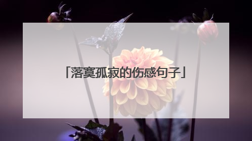 落寞孤寂的伤感句子