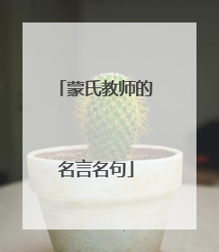 蒙氏教师的名言名句