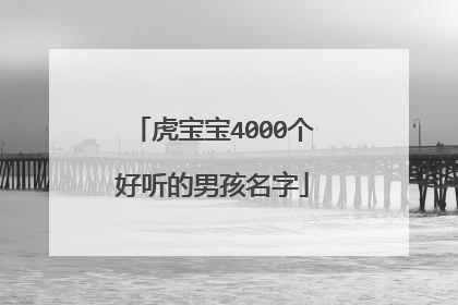 虎宝宝4000个好听的男孩名字