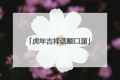 虎年吉祥话顺口溜