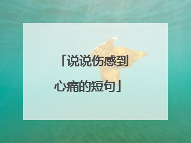 说说伤感到心痛的短句