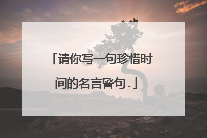 请你写一句珍惜时间的名言警句.