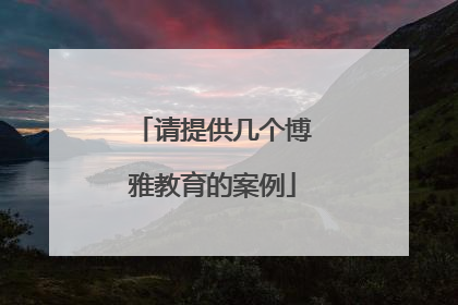 请提供几个博雅教育的案例
