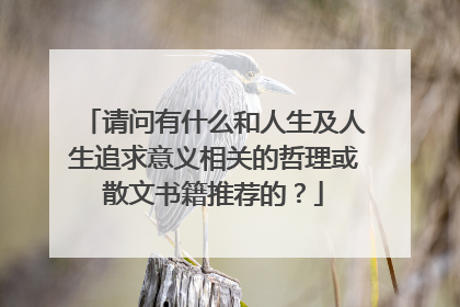 请问有什么和人生及人生追求意义相关的哲理或散文书籍推荐的？