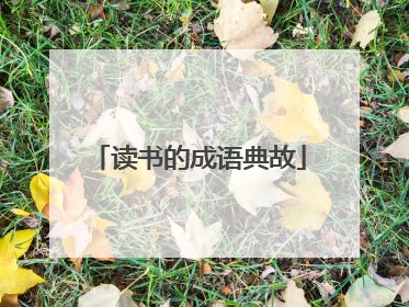 读书的成语典故