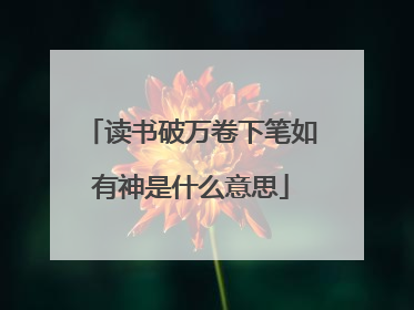 读书破万卷下笔如有神是什么意思