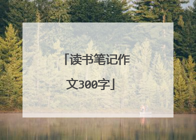 读书笔记作文300字