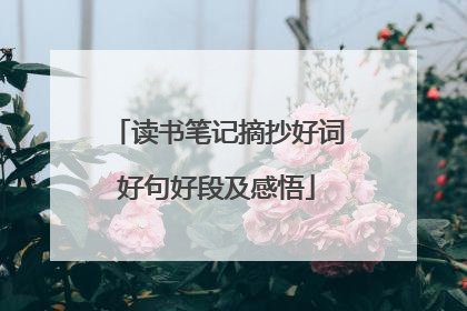 读书笔记摘抄好词好句好段及感悟