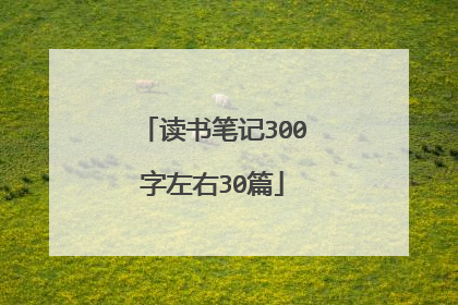 读书笔记300字左右30篇