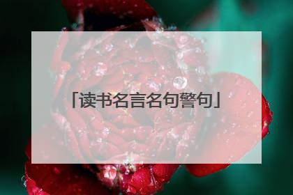 读书名言名句警句