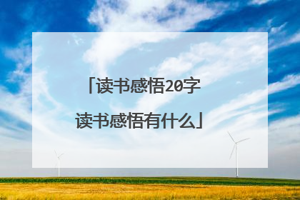 读书感悟20字 读书感悟有什么