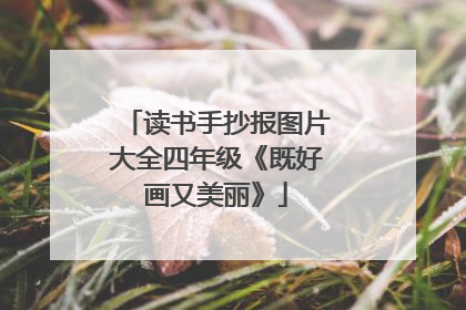 读书手抄报图片大全四年级《既好画又美丽》