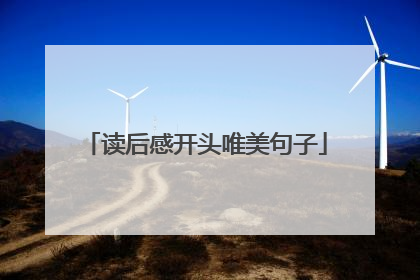 读后感开头唯美句子