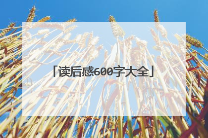 读后感600字大全