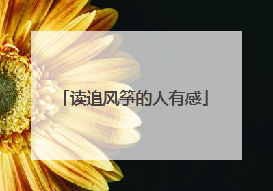 读追风筝的人有感