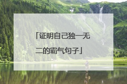 证明自己独一无二的霸气句子