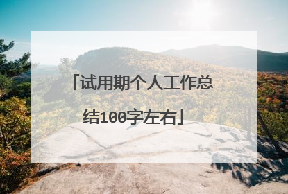 试用期个人工作总结100字左右