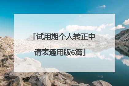 试用期个人转正申请表通用版6篇