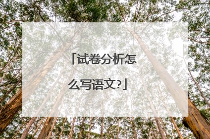 试卷分析怎么写语文?