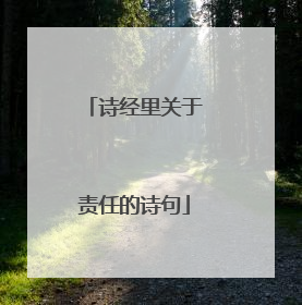 诗经里关于责任的诗句