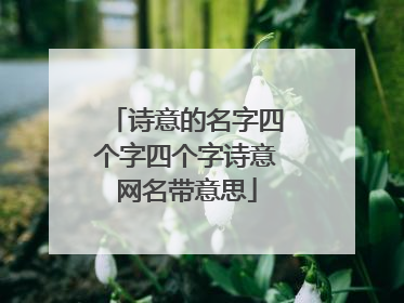 诗意的名字四个字四个字诗意网名带意思