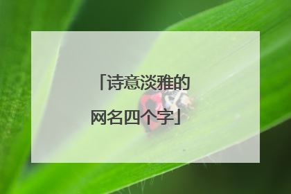 诗意淡雅的网名四个字