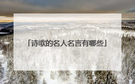 诗歌的名人名言有哪些