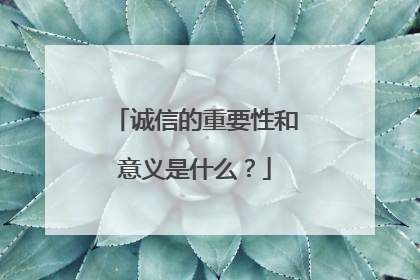 诚信的重要性和意义是什么？