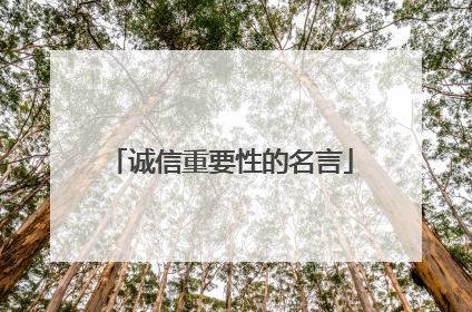 诚信重要性的名言