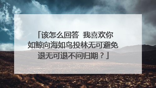 该怎么回答 我喜欢你 如鲸向海如鸟投林无可避免退无可退不问归期?
