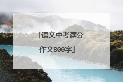 语文中考满分作文800字